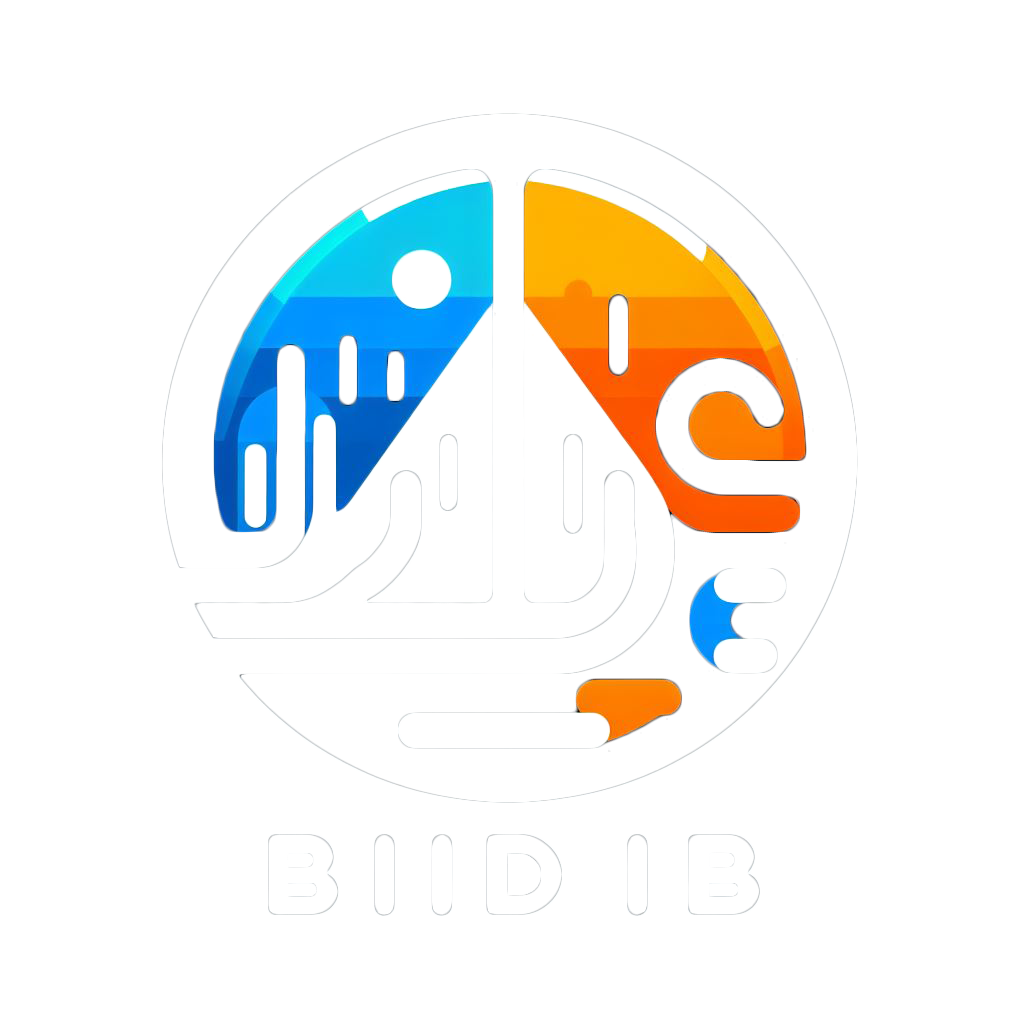 logo BiddiB